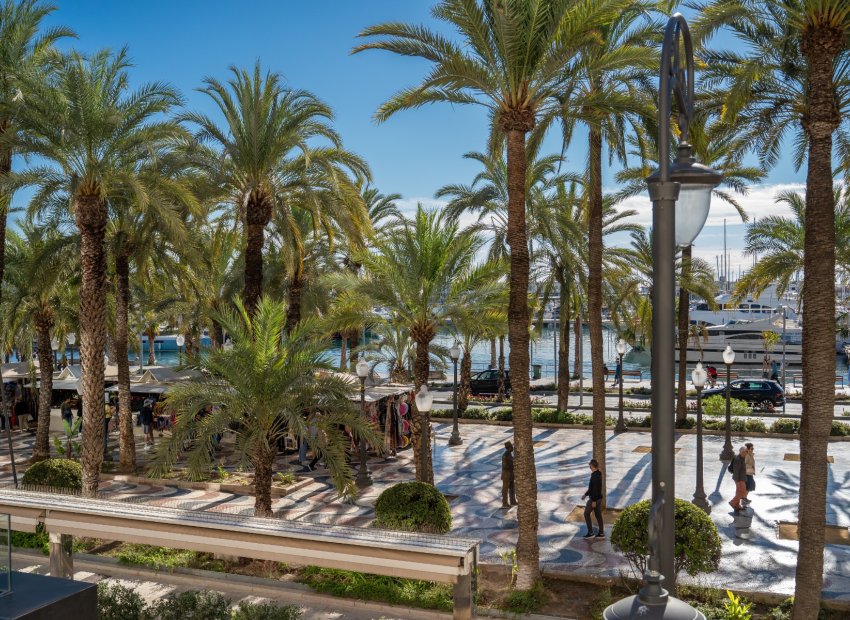 Reventa - Apartamento / piso - Alicante - Center