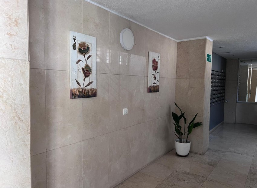 Reventa - Apartamento / piso - Benidorm - Levante