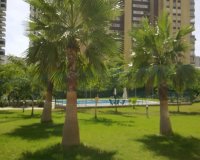 Reventa - Apartamento / piso - Benidorm - Levante