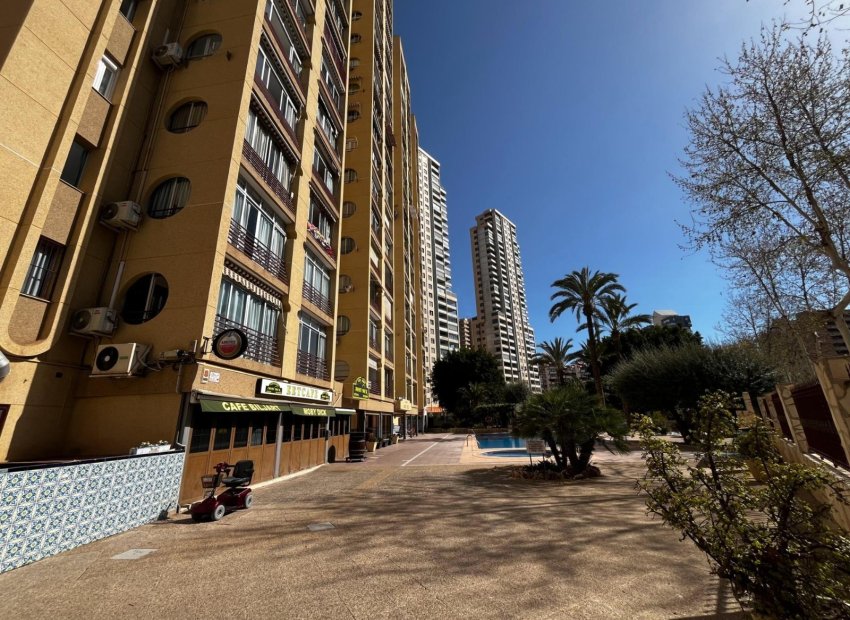 Reventa - Apartamento / piso - Benidorm - Levante