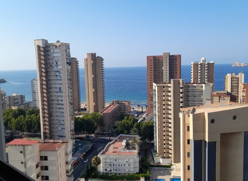 Reventa - Apartamento / piso - Benidorm - Levante