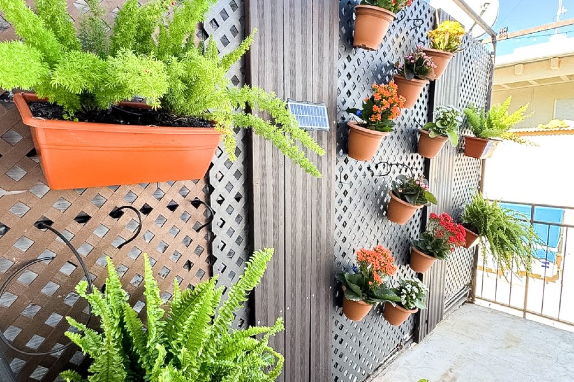 Reventa - Apartamento / piso - Benidorm - Levante