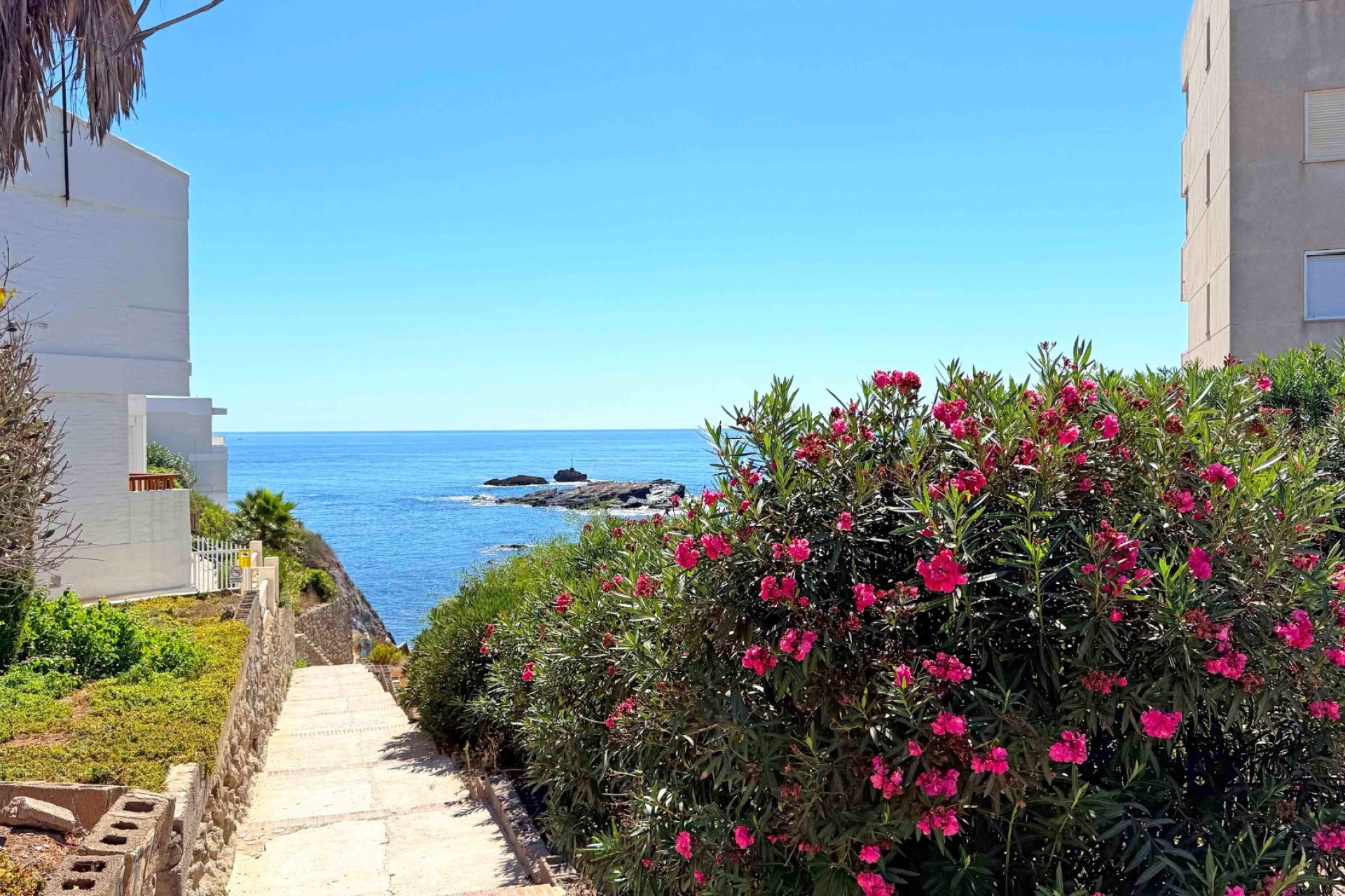 Reventa - Apartamento / piso - Cabo de Palos