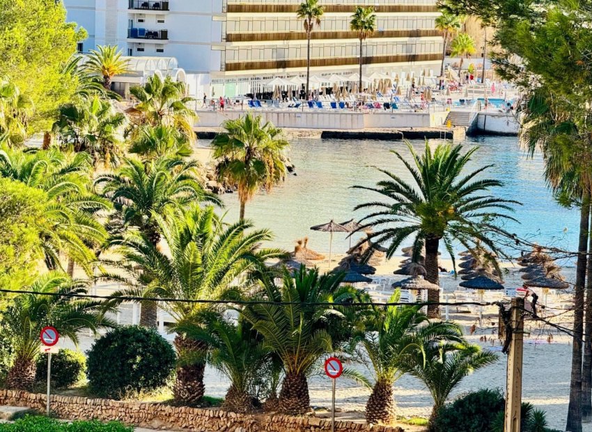 Reventa - Apartamento / piso - CALA VINYES - Calvià