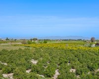 Reventa - Apartamento / piso - Daya Nueva - Costa Blanca South
