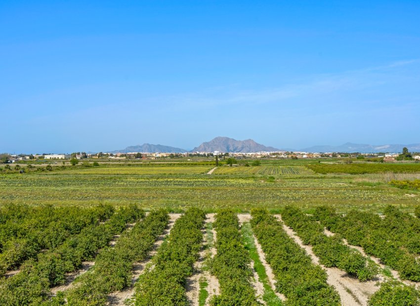 Reventa - Apartamento / piso - Daya Nueva - Costa Blanca South