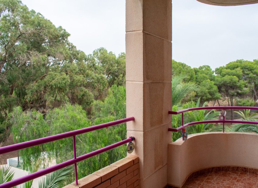 Reventa - Apartamento / piso - Guardamar del Segura - Center