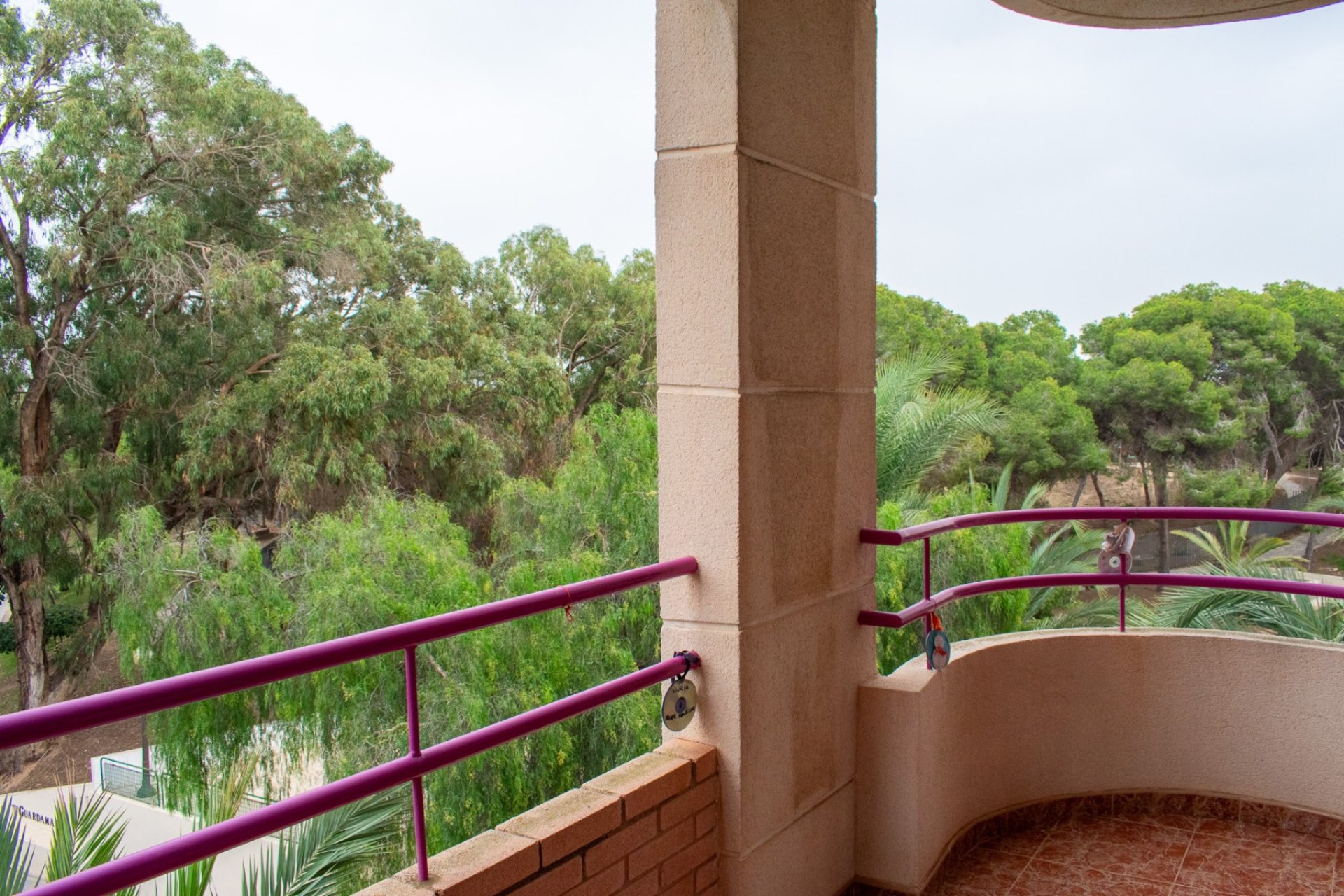 Reventa - Apartamento / piso - Guardamar del Segura - Center