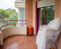 Reventa - Apartamento / piso - Guardamar del Segura - Center