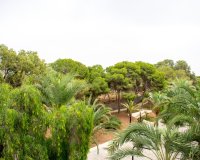 Reventa - Apartamento / piso - Guardamar del Segura - Center