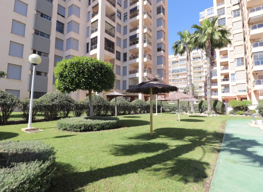 Reventa - Apartamento / piso - Guardamar del Segura - Guardamar del Segura - Town