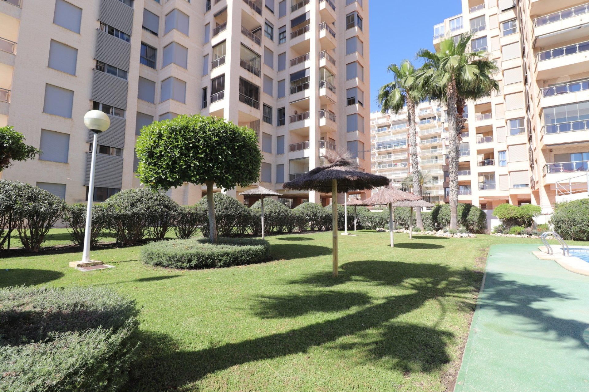 Reventa - Apartamento / piso - Guardamar del Segura - Guardamar del Segura - Town