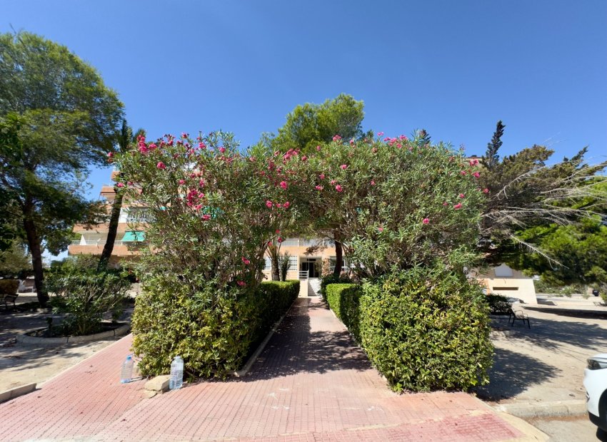 Reventa - Apartamento / piso - Guardamar del Segura - Pinomar