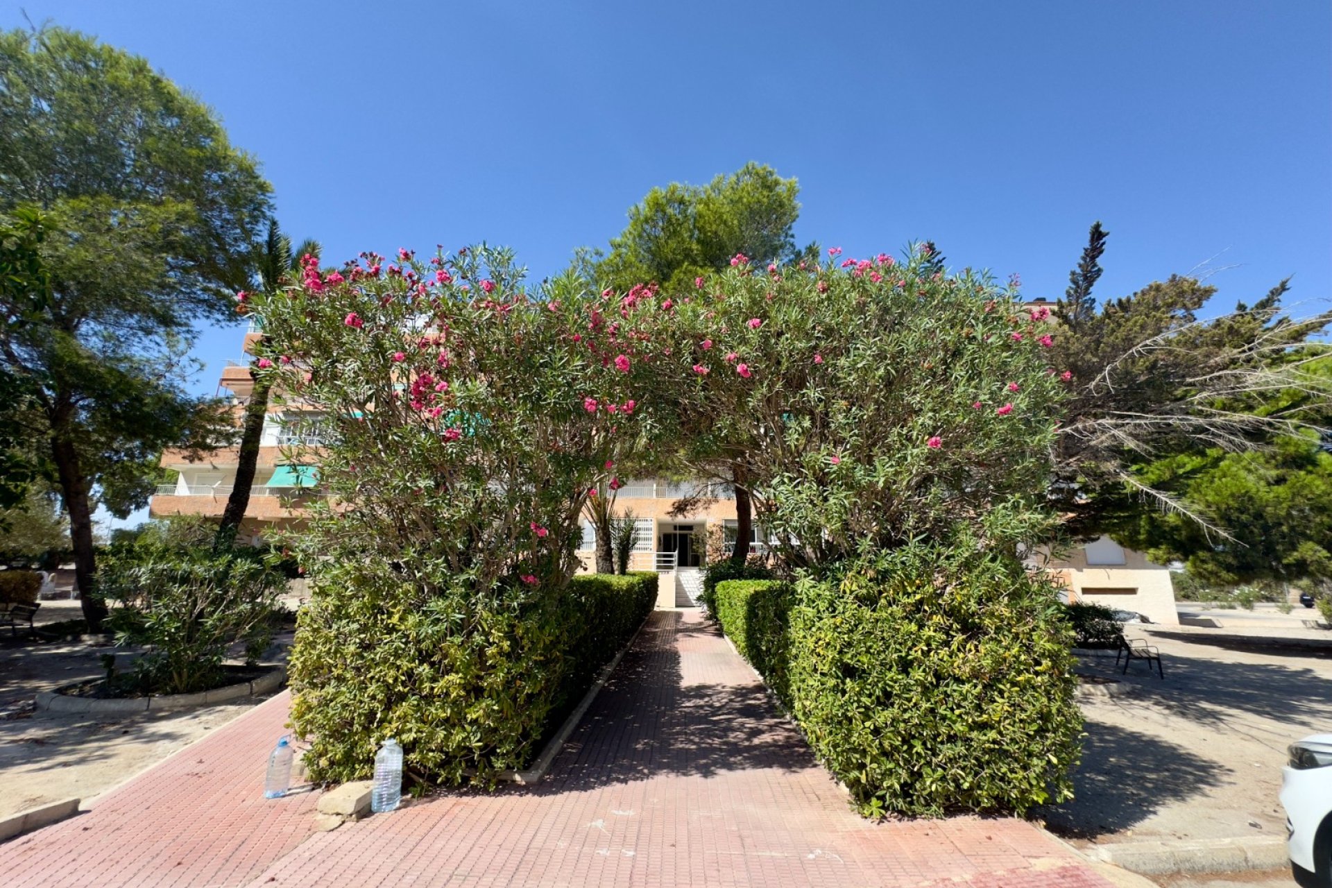 Reventa - Apartamento / piso - Guardamar del Segura - Pinomar