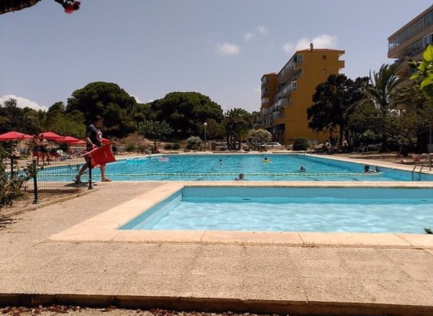 Reventa - Apartamento / piso - Guardamar del Segura - Pinomar