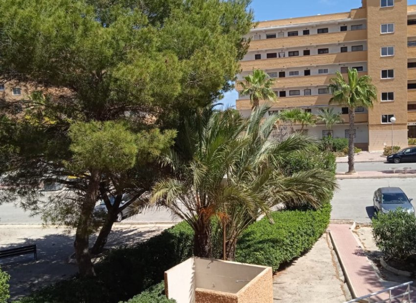 Reventa - Apartamento / piso - Guardamar del Segura - Pinomar