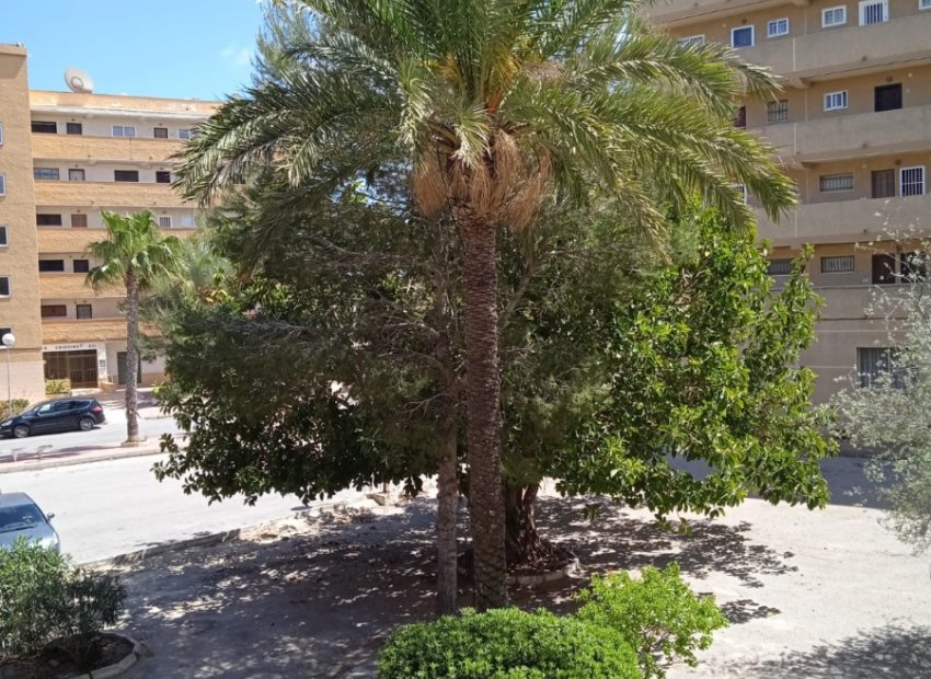 Reventa - Apartamento / piso - Guardamar del Segura - Pinomar