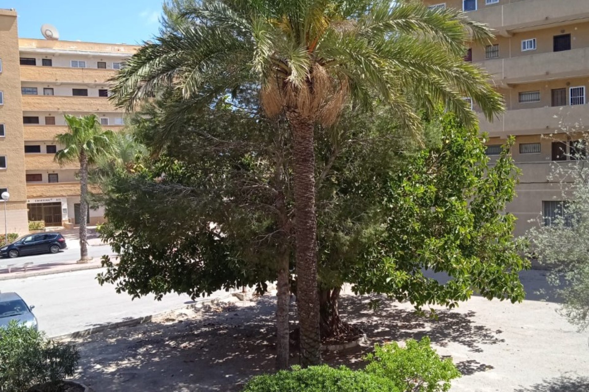 Reventa - Apartamento / piso - Guardamar del Segura - Pinomar