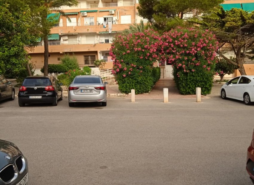 Reventa - Apartamento / piso - Guardamar del Segura - Pinomar