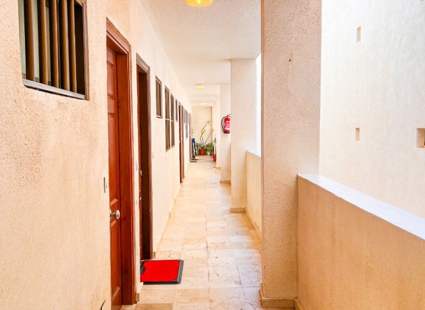 Reventa - Apartamento / piso - Guardamar del Segura - Playa Centro Guardamar