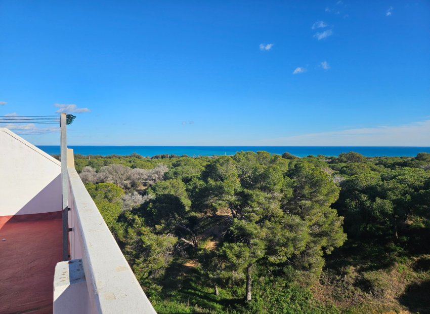 Reventa - Apartamento / piso - Guardamar del Segura