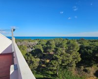 Reventa - Apartamento / piso - Guardamar del Segura