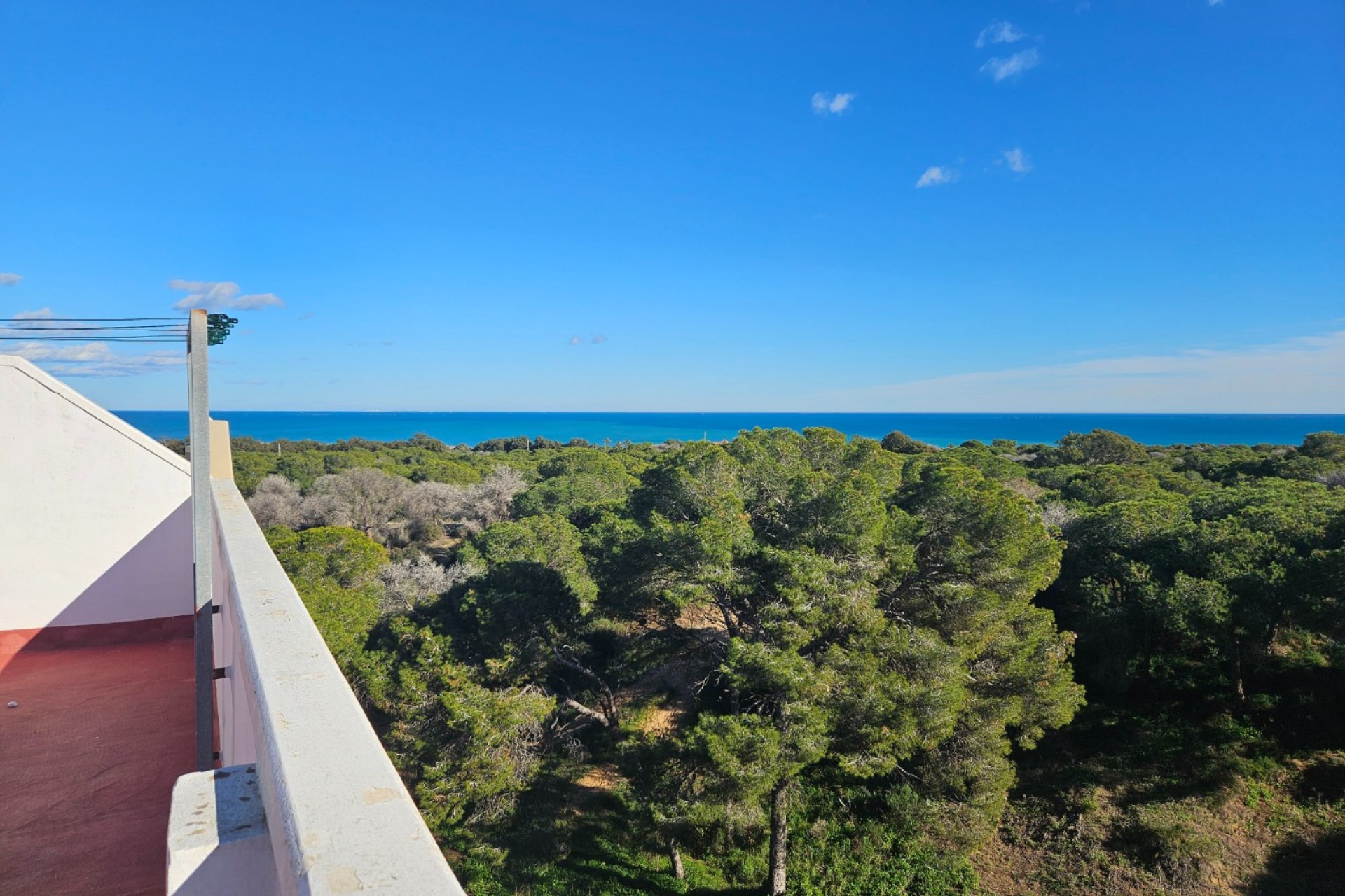 Reventa - Apartamento / piso - Guardamar del Segura