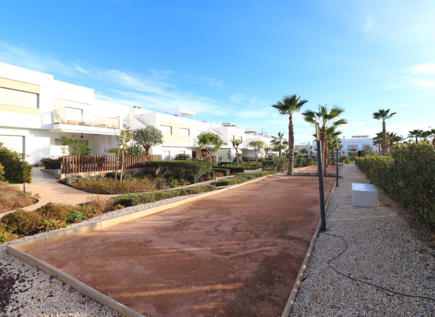 Reventa - Apartamento / piso - Los Montesinos - Entre Naranjos / Vistabella Golf