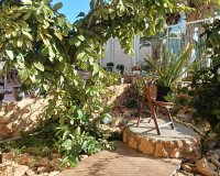 Reventa - Apartamento / piso - Los Montesinos - La Herrada