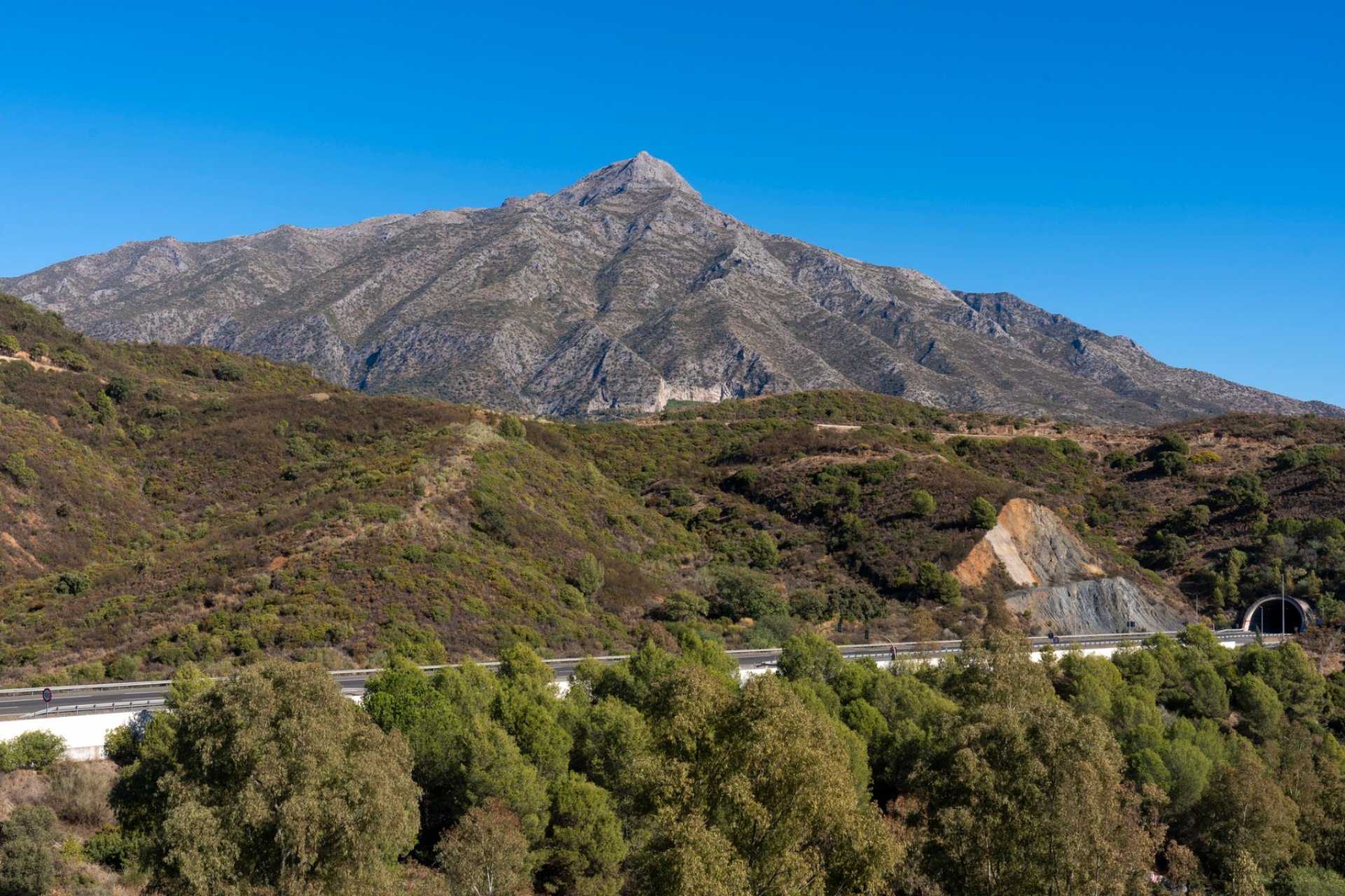 Reventa - Apartamento / piso - Marbella - Nueva Andalucía