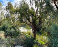 Reventa - Apartamento / piso - Marbella - Nueva Andalucía