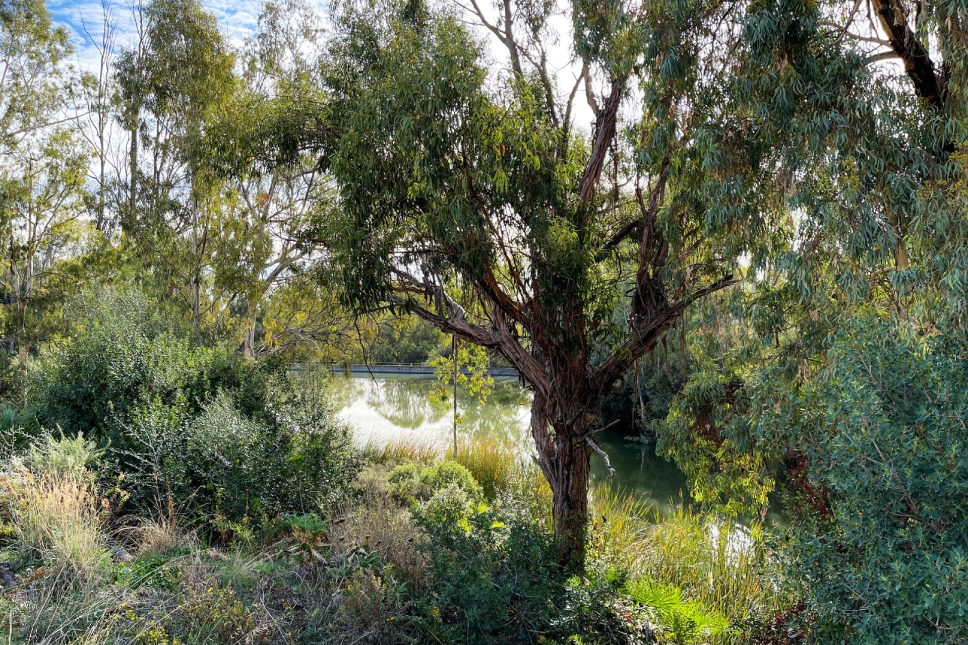 Reventa - Apartamento / piso - Marbella - Nueva Andalucía