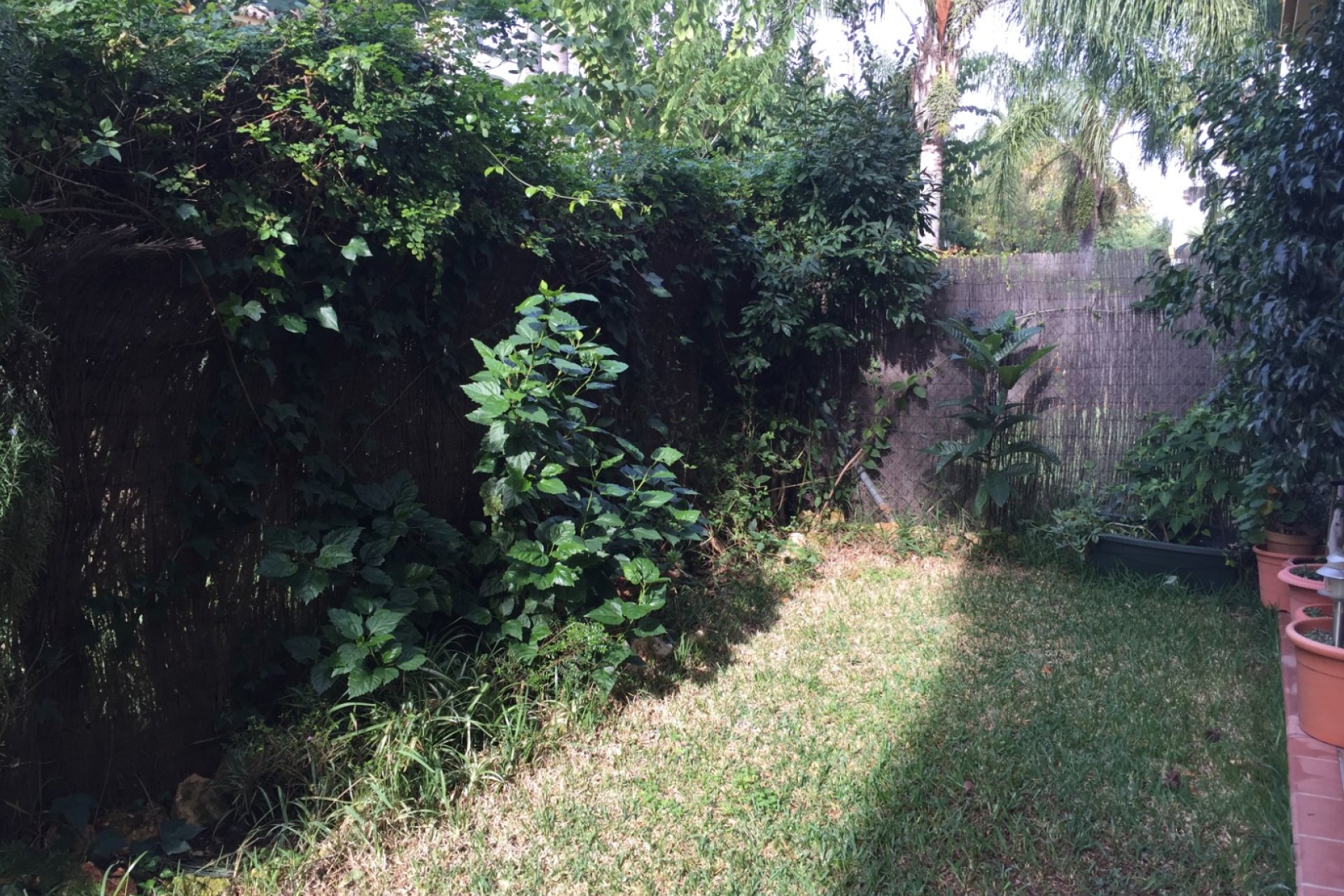 Reventa - Apartamento / piso - Marbella - Nueva Andalucía