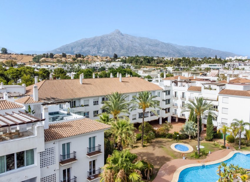 Reventa - Apartamento / piso - Marbella - Nueva Andalucía