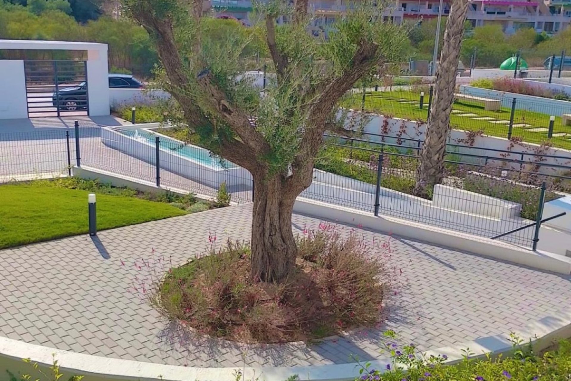 Reventa - Apartamento / piso - Orihuela - Costa Blanca