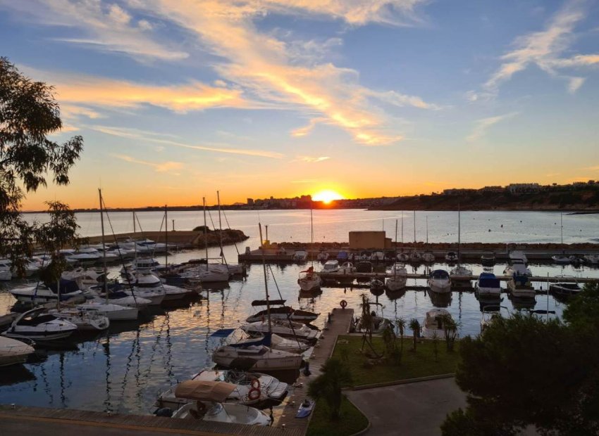 Reventa - Apartamento / piso - Orihuela Costa - Campoamor