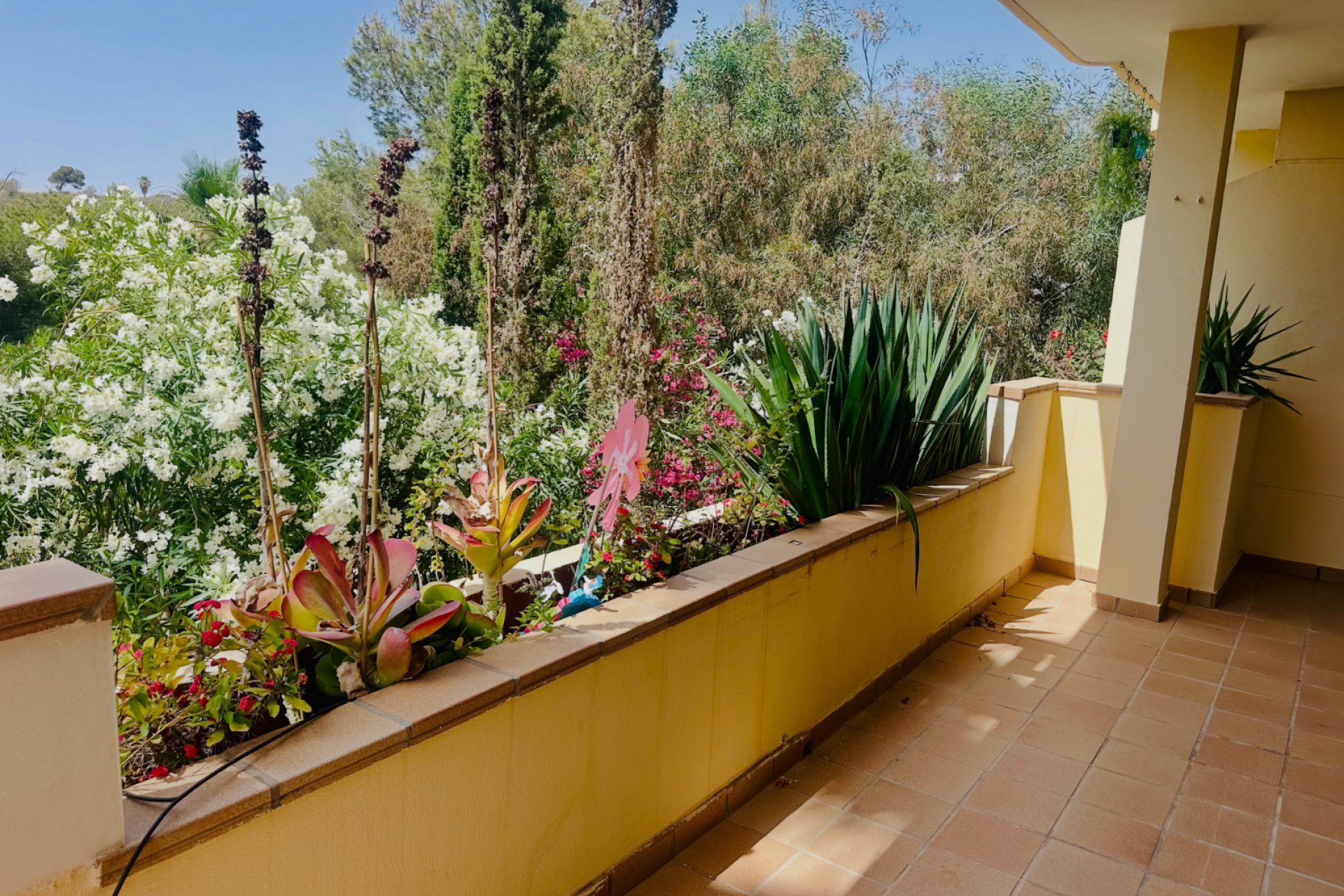 Reventa - Apartamento / piso - Orihuela Costa - Lomas de Campoamor