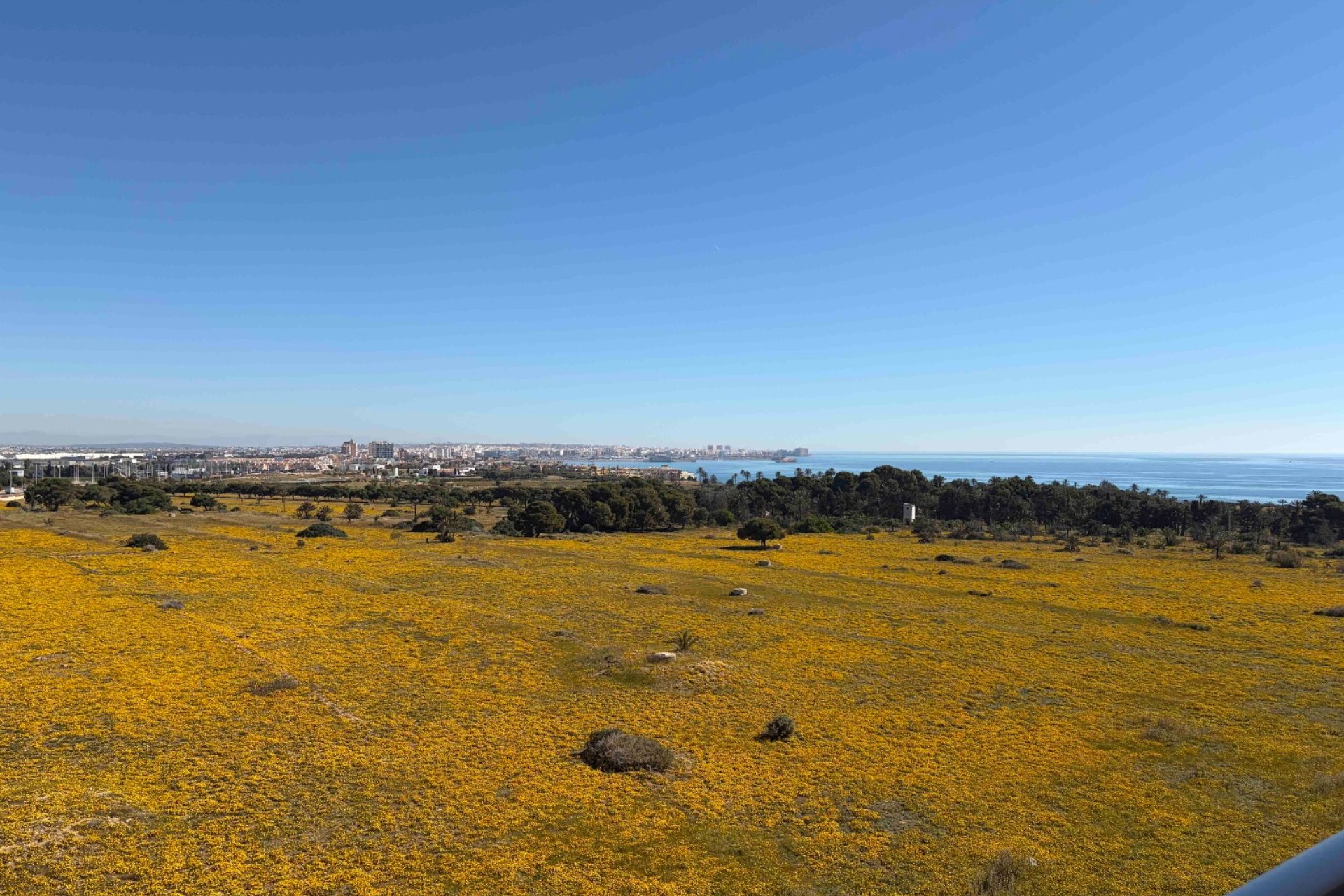Reventa - Apartamento / piso - Orihuela Costa - Punta Prima