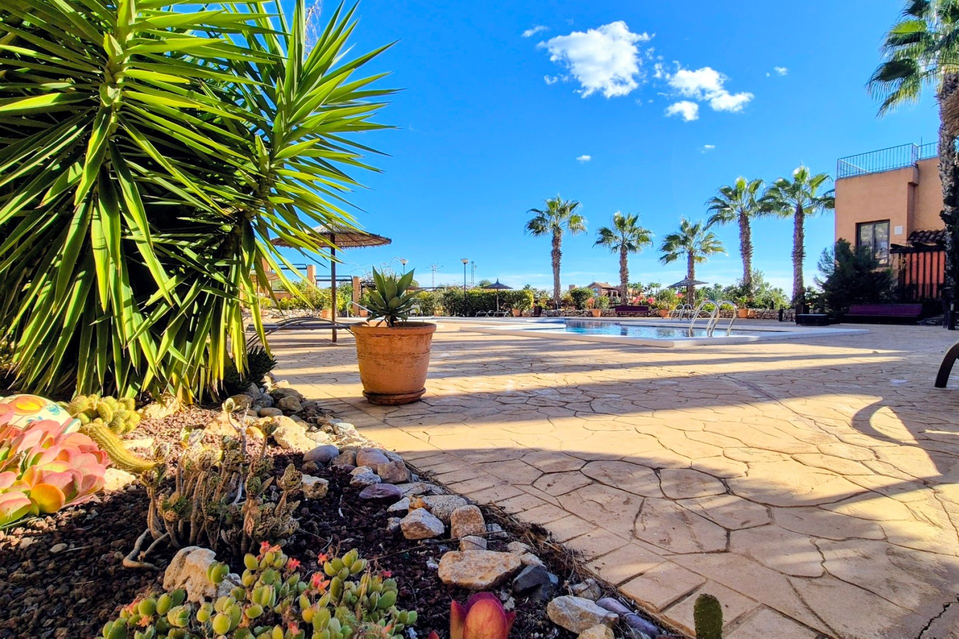 Reventa - Apartamento / piso - Orihuela Costa - Villamartín