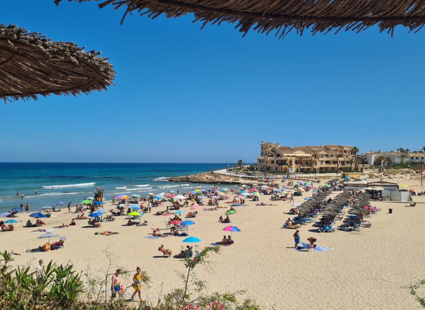 Reventa - Apartamento / piso - Playa Flamenca