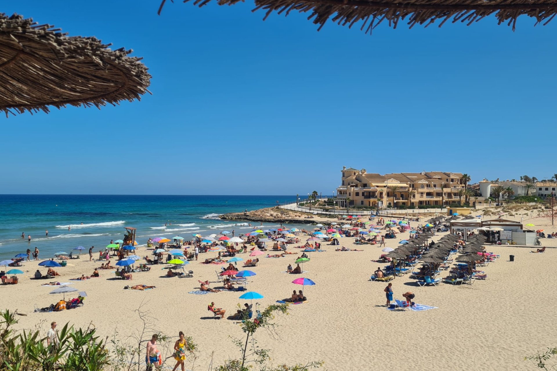 Reventa - Apartamento / piso - Playa Flamenca