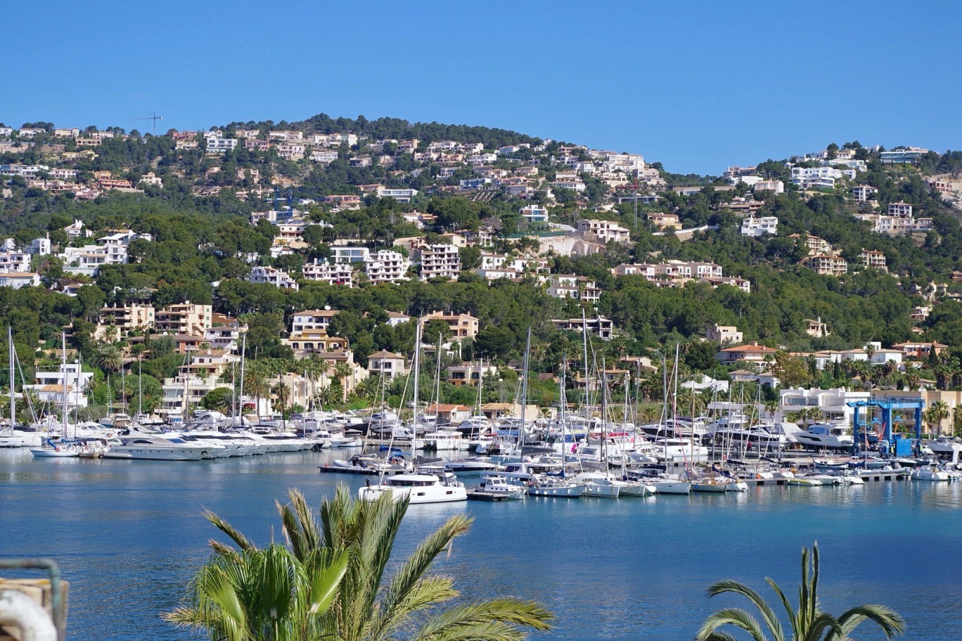 Reventa - Apartamento / piso - PORT D'ANDRATX - Andratx