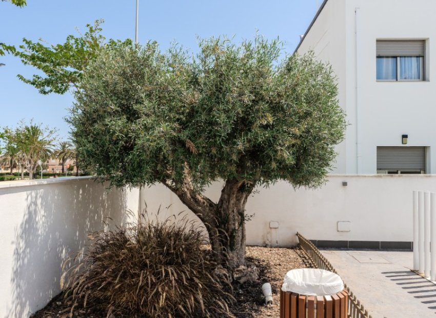 Reventa - Apartamento / piso - Torre de la Horadada