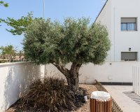 Reventa - Apartamento / piso - Torre de la Horadada