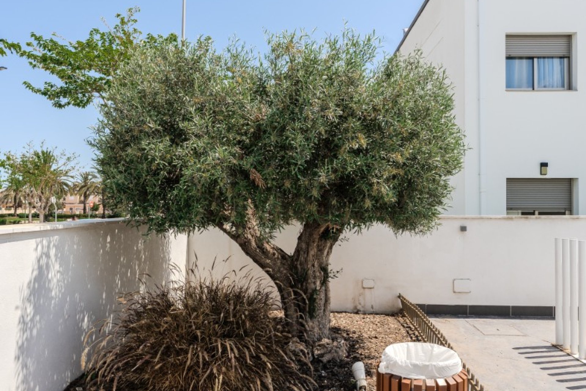 Reventa - Apartamento / piso - Torre de la Horadada