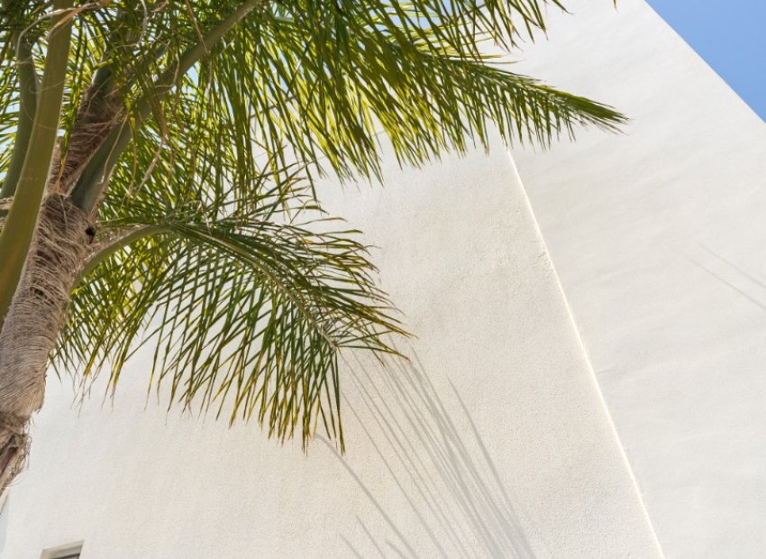 Reventa - Apartamento / piso - Torre de la Horadada