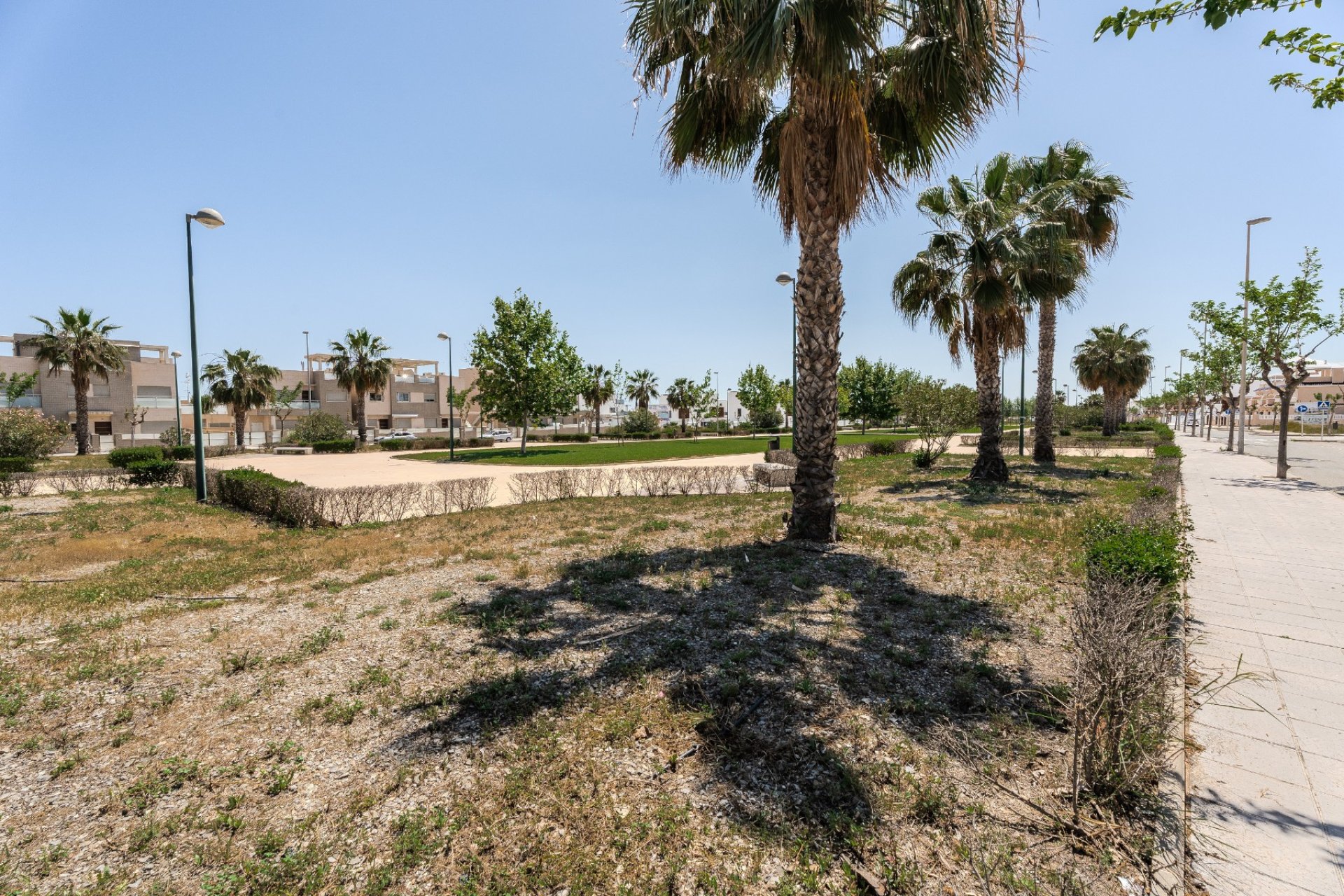 Reventa - Apartamento / piso - Torre de la Horadada