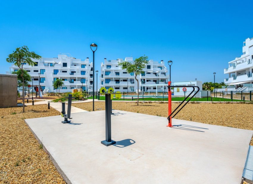 Reventa - Apartamento / piso - Torre Pacheco - Santa Rosalia