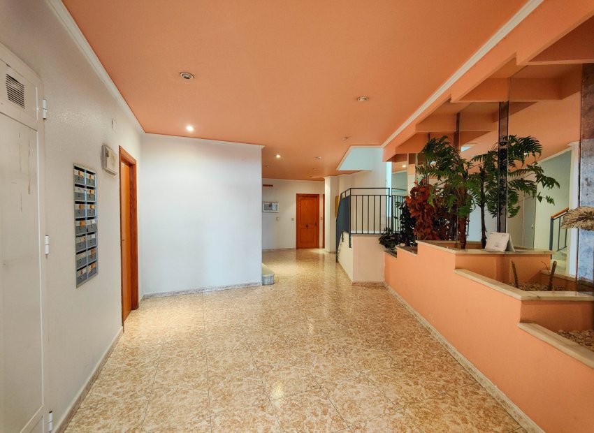 Reventa - Apartamento / piso - Torrevieia - El Acequión - Los Náufragos