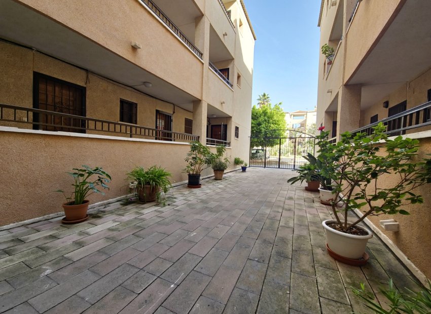 Reventa - Apartamento / piso - Torrevieia - El Chaparral